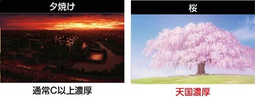 わたしの幸せな結婚 終了画面