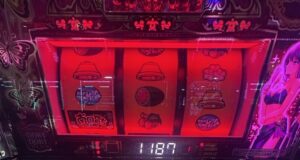 L南国育ちスペシャル 赤フラッシュ