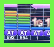 L戦国乙女5 データカウンター 692Gと前任者の554G