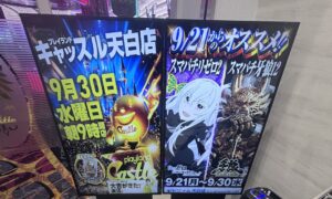 プレイランドキャッスル天白店